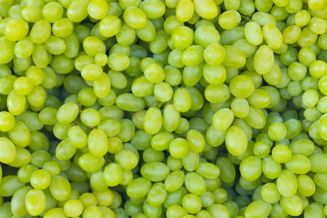 Cotton Candy Grape Watch: Which Stores Have Them Now