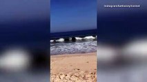 Bethenny Frankel hits the beach in see-through white swimwear