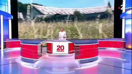 14-Juillet : pourquoi les jeunes s'engagent dans l'armée ?