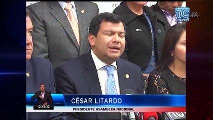 César Litardo anunció pedido para limitar las funciones del Consejo de Participación