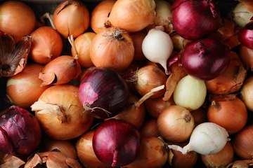 These Are the 10 Types of Onions Worthy of Your Favorite Dishes