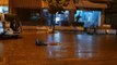 Përmbytet Vlora/ Reshjet e dendura të shiut shkaktojnë edhe dëme në plazhet e Orikumit