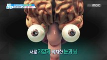 [LIVING] Neglected presbyopia brings dementia!,기분 좋은 날20190711