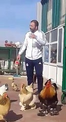 دجاج برهما لذيذ وسهل التحضير 🍗