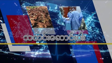အေမရိကန္ ထိန္းသိမ္းေရးစခန္းအေျခအေန ကုလေ၀ဖန္