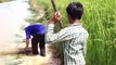 Wow! Smart Man And Boy Catch A Lot Of Fishes In Rice Field By Deep Two Hole Fish Trap