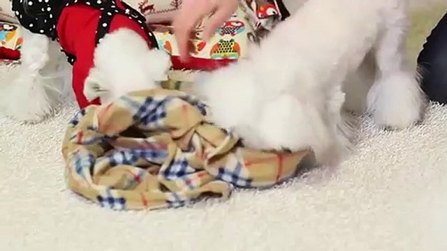 포항출장안마 ト출장샤워う ｛카톡MOK66} 포항전지역출장안마 포항오피걸 포항출장샵 포항출장안마 포항콜걸샵 출장마사지ミムメ