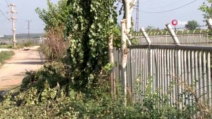 Kavak budarken akıma kapılan şahıs öldü