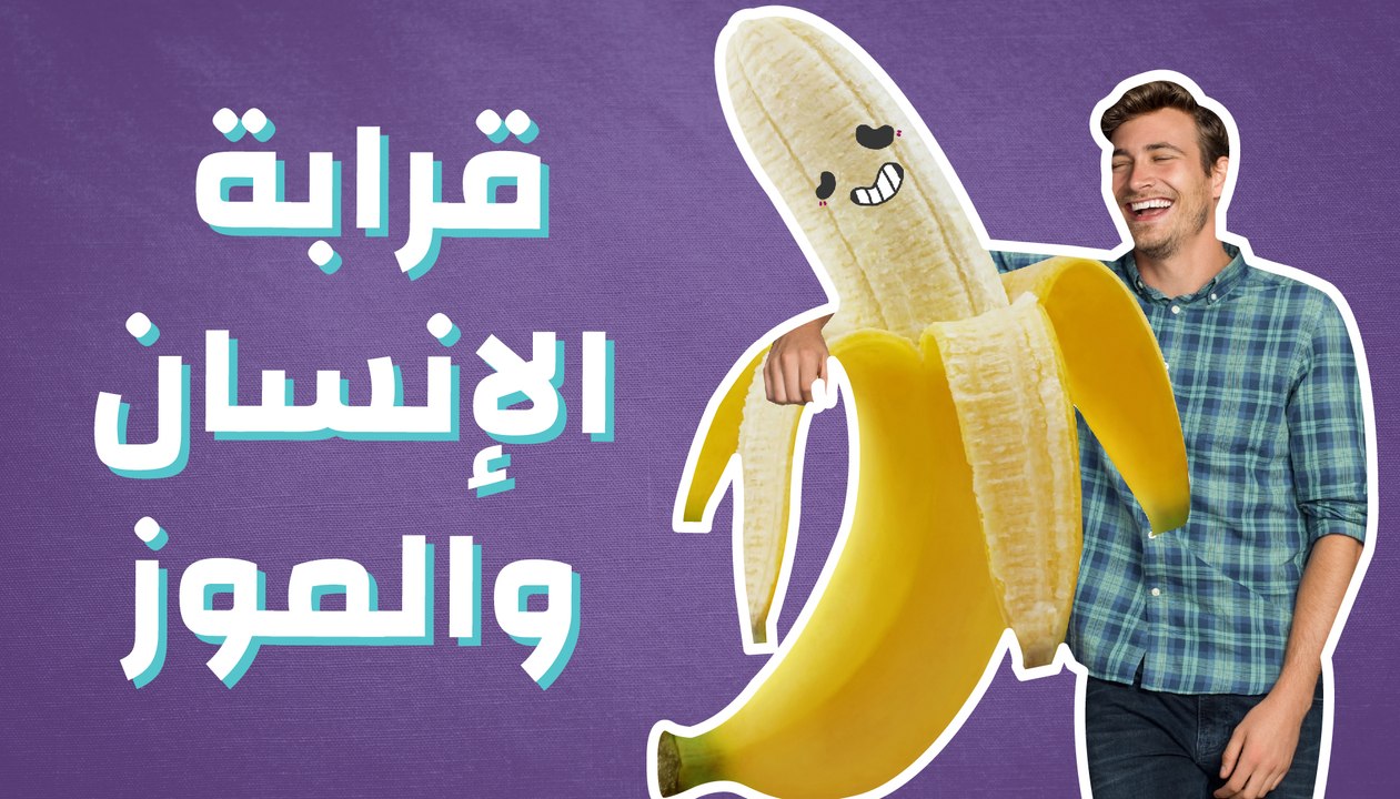 قرابة الإنسان والموز