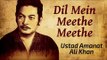 Ustad Amanat Ali Khan | Greatest Hits (Mora Jiya Na Lage) | Dil Mein Meethe Meethe