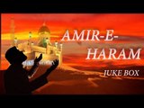 Amir-E-Haram | Naat JukeBox | Haq Maujood | Muzaffar Warsi Naat Collection