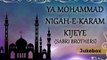 Ya Mohammad Nigah-E-Karam Kijeye (Sabri Brothers) | Top Qawwali | Ramazan Special
