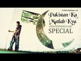 Best Patriotic Songs | Pakistan Ka Matlab Kya | Pakistan Independence Day Special