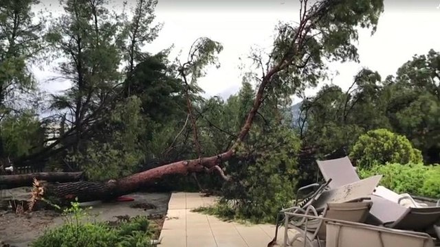 Freak storm hits northern Greece, killing six foreign nationals