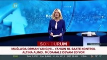 Muğla'daki orman yangını