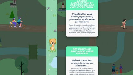Woog : une application mobile pour des balades avec votre chien