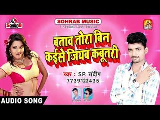 बताव तोरा बिन कईसे जीएम जियब कबूतरी   SP  Sandeep   Bataw Tora Bin Kaise Jihi Kabutari nb61nMnB9Qg