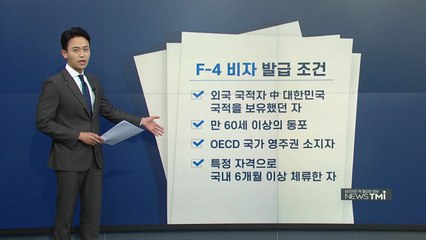 [뉴스TMI] 유승준이 신청한 'F-4 비자'...발급 조건과 특징은? / YTN