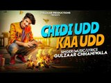 GULZAAR CHHANIWALA - CHIDI UDD KAA UDD  | New Punjabi Songs 2018 | Latest Punjabi Songs 2018