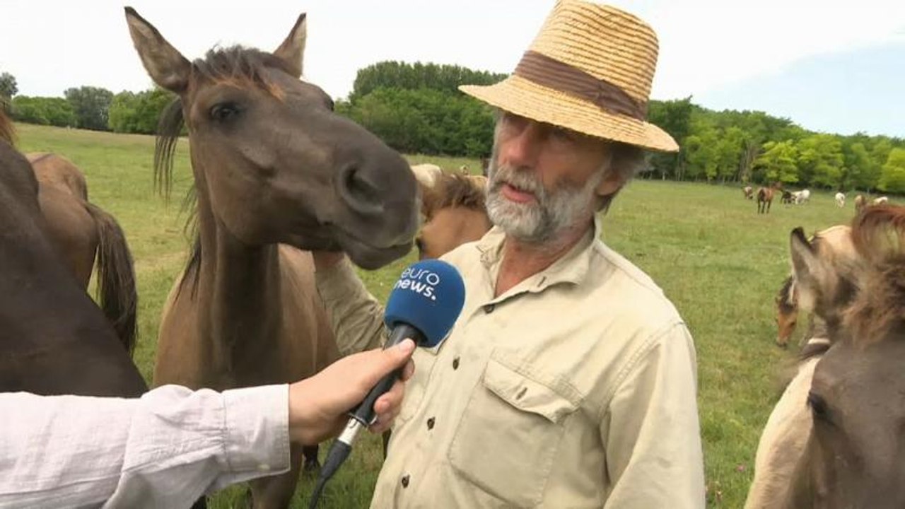 'Klima-Angst': Bald anerkannte psychologische Störung?