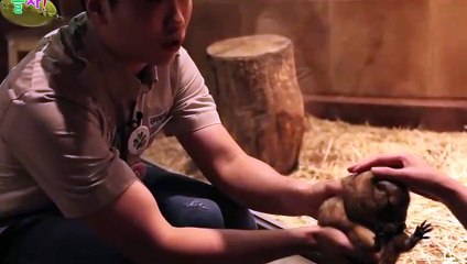 태안출장안마 ト출장샤워う ｛카톡RD654｝ 태안전지역출장안마 태안오피걸 태안출장샵 태안출장안마 태안콜걸샵 출장마사지スズセ