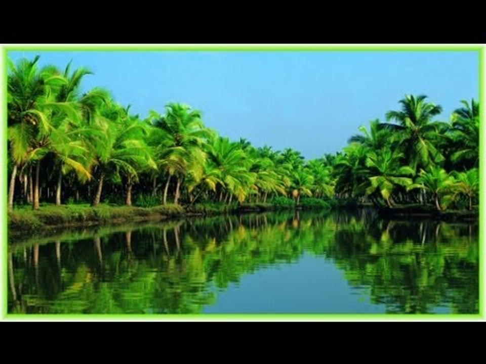Thaka Thei song from Hit Album "Naattile Thaaram"