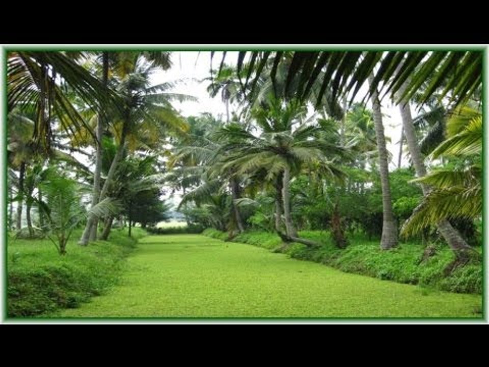 Aaro Paranju song from Super Hit Album Thapasya sung by Chitra