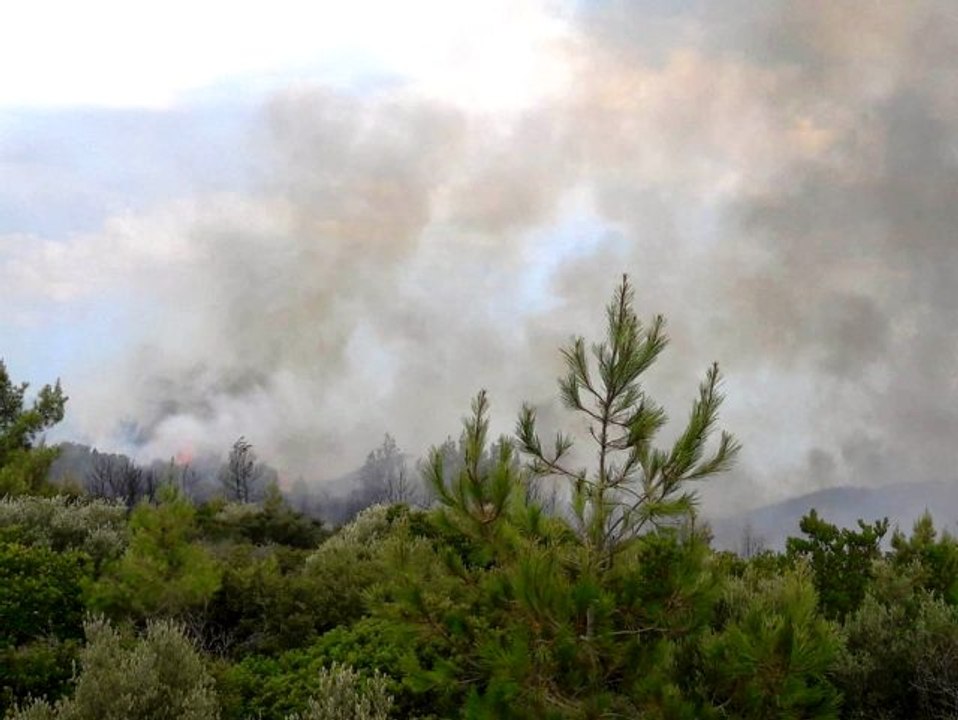 Muğla'da yeni bir orman yangını evleri tehdit ediyor
