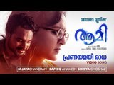 Pranayamayi Radha | AAMI | VIDEO SONG | Kamal | Manju Warrier | M Jayachandran | Shreya Ghoshal