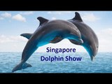 സിംഗപ്പൂരിലെ ഡോള്‍ഫിനുകളുടെ അല്‍ഭുതം കണ്ടോ - Singapore Dolphin Show at Sentosa Island