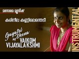 Karineela Kannilenthedi | Film song on Gayathri Veena by Vaikom Vijayalakshmi