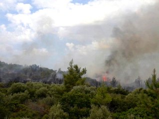 Muğla'da bir orman yangını daha