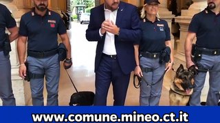 Salvini - 117 cani sono gli ultimi ospiti del CARA di Mineo (11.07.19)
