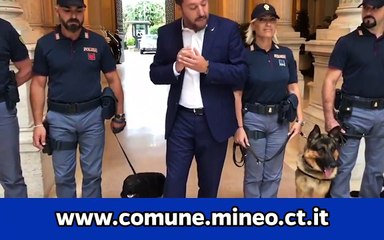 Salvini - 117 cani sono gli ultimi ospiti del CARA di Mineo (11.07.19)