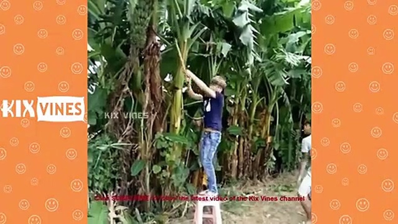 Funny videos pranks try not to laugh challenge P30