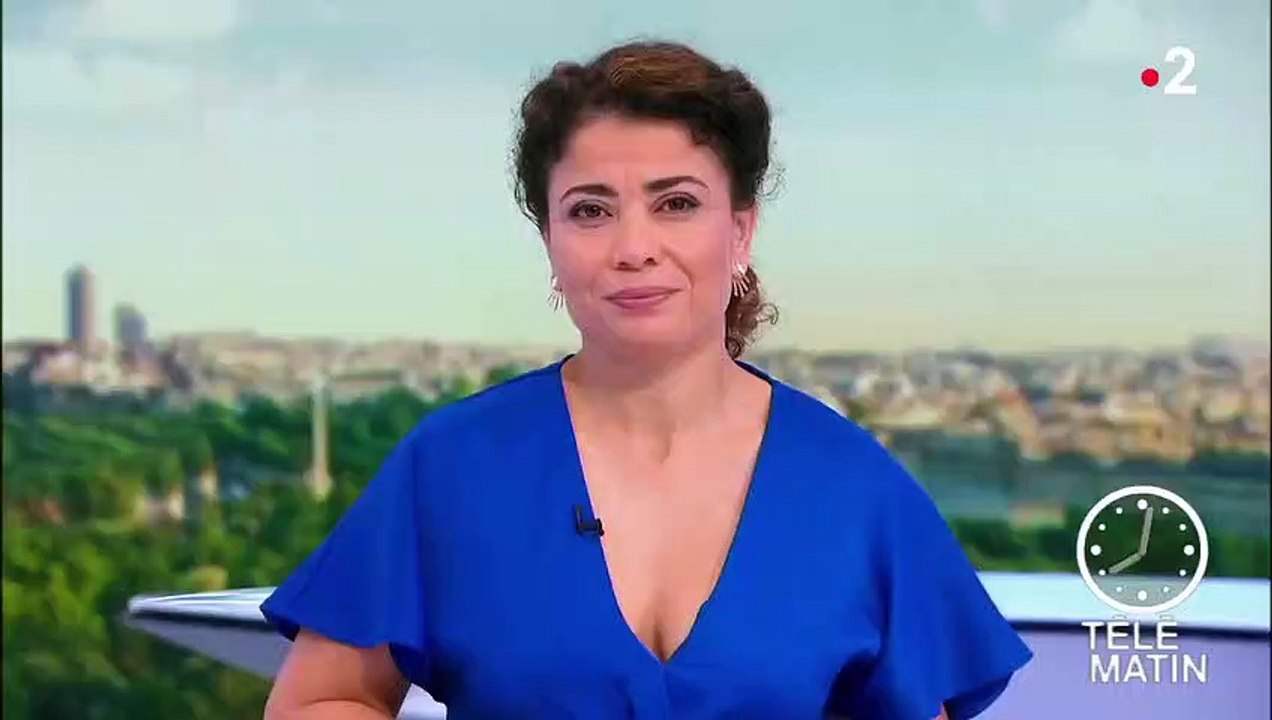 Bouches-du-Rhône : l'incendie près de Vitrolles maîtrisé