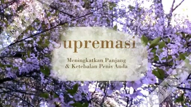 Apakah Supremasi Pil Benar-Benar Bekerja? North Sulawesi!