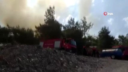 Erken müdahale ile Muğla'daki ikinci yangın kontrol altına alındı