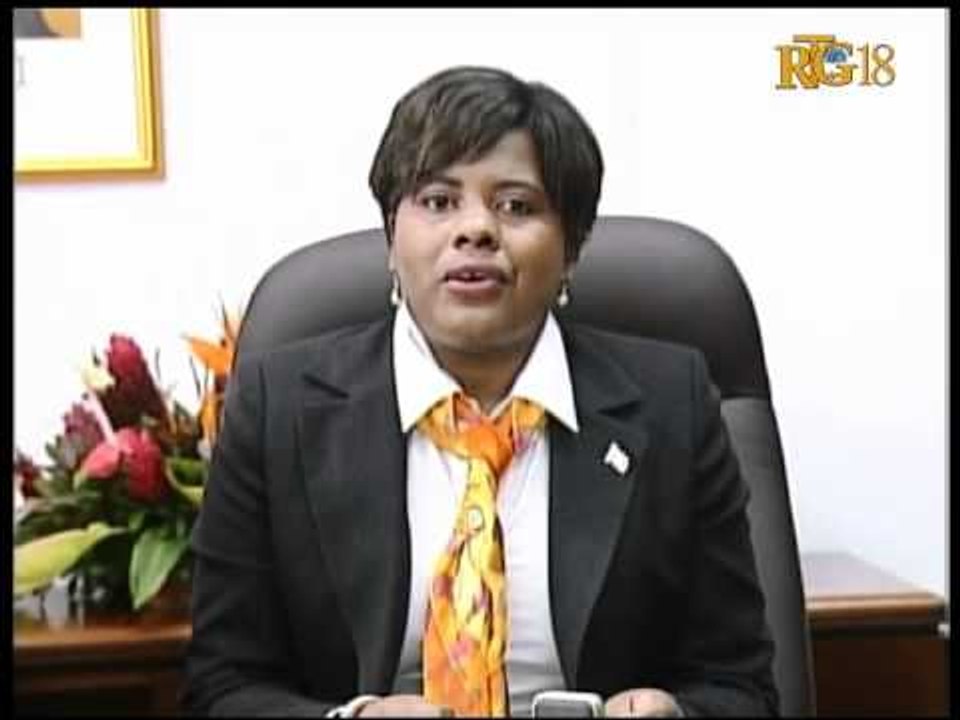 Depite Olgine Pierre ( Vis Prezidan komisyon afè etranjè nan chanm ba a)