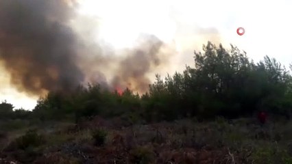 Muğla’daki ikinci yangın kontrol altına alındı