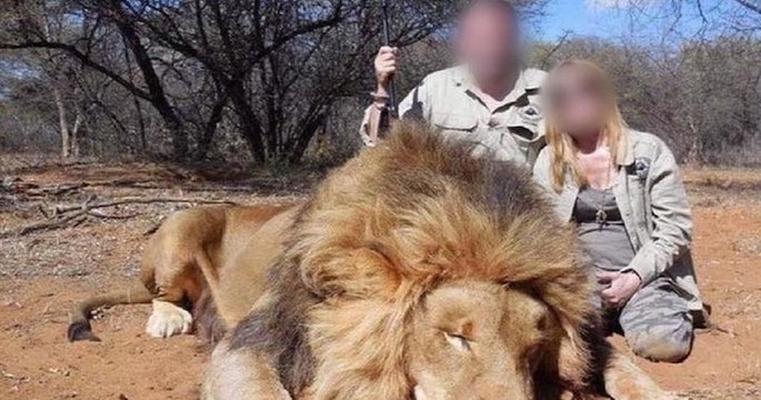 Un couple de gérants d’un magasin Super U démissionne après la diffusion de photos de leur safari de chasse
