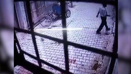 Monos violentos atacan a hombre en una emboscada perfecta