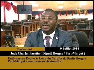 Palman Ayisyen   Entèvansyon sou pwosesis elektoral la