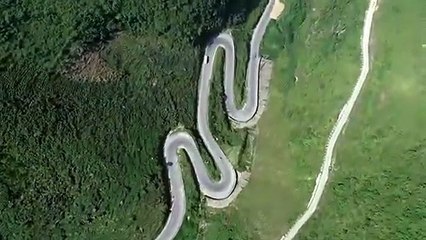 Cuộc đua kỳ thú