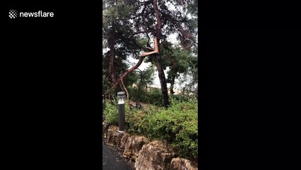 UK tourist witnesses the aftermath of deadly storm in Greece