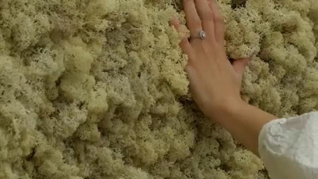 Exposição de Ólafur Elíasson na Tate Modern