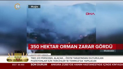 Muğla'daki orman yangını kontrol altında
