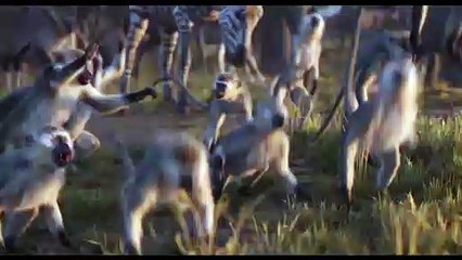 The Lion King Movie Clip - Circle of Life (2019)