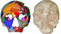 Partial skull found in Greece is Europe’s oldest human fossil