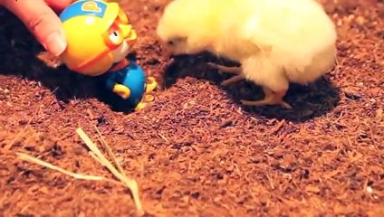 금천출장안마 -후불100%ョØ1ØE2671E8135｛카톡LA369｝ 금천전지역출장안마 금천오피걸 금천출장마사지 금천안마 금천출장마사지 금천콜걸샵φχψ